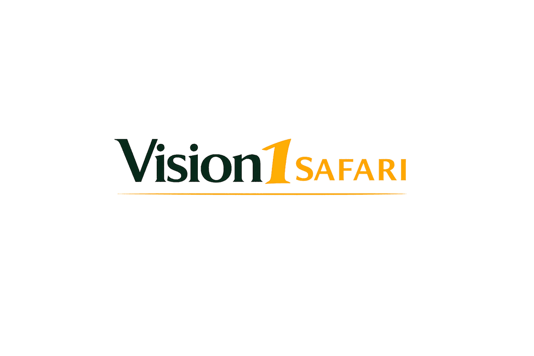Vision1